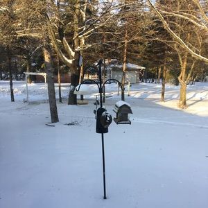 Meet your Posher, Ann